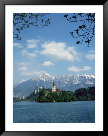 Lake Bled, Slovenia by Adina Tovy Pricing Limited Edition Print image