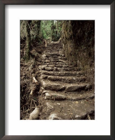 Steps On The Inca Trail, Peru, South America by Rob Cousins Pricing Limited Edition Print image
