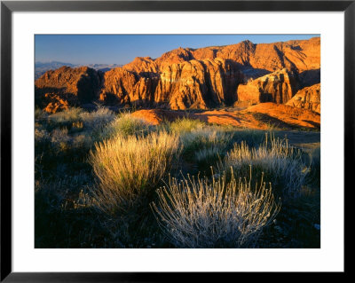 View Into Snow Canyon At Sunrise, Snow Canyon State Park, Utah, Usa by Scott T. Smith Pricing Limited Edition Print image