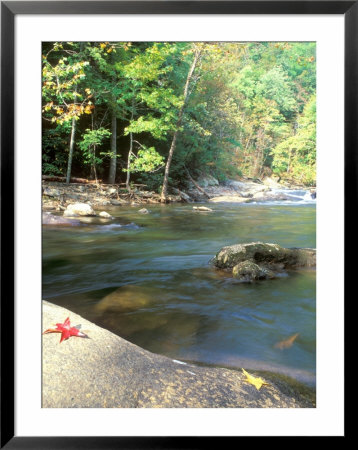 Bald River, Cherokee National Forest, Tennessee, Usa by Rob Tilley Pricing Limited Edition Print image