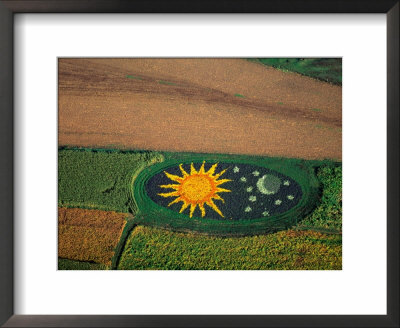 Aerial Of Decorative Corn Field, Lancaster, Usa by Jim Wark Pricing Limited Edition Print image