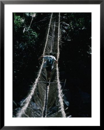 Trekking Group Crossing Rope Bridge In The New Guinea Highlands, East Sepik, Papua New Guinea by Chester Jonathan Pricing Limited Edition Print image