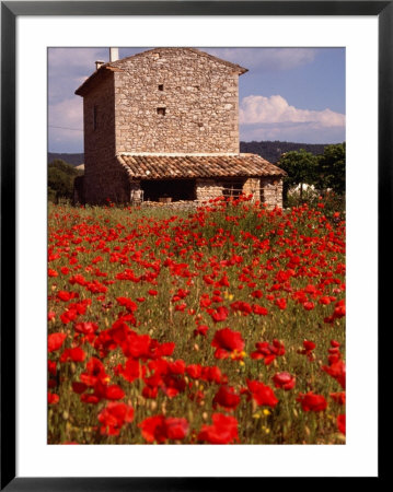 Stone Farmhouse In Field Of Poppies, Provence-Alpes-Cote D'azur, France by Diana Mayfield Pricing Limited Edition Print image