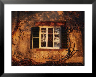 Bare Vines Twine Around A Window Bathed In Golden Light by Melissa Farlow Pricing Limited Edition Print image