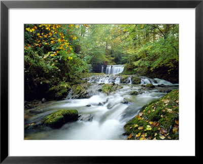 Stock Ghyll Beck, Ambleside, Lake District, Cumbria, England by Kathy Collins Pricing Limited Edition Print image