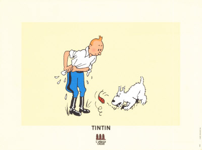 Snowy And The Goldfish by Herge (Georges Remi) Pricing Limited Edition Print image