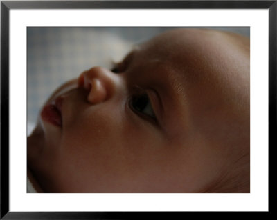 Close View Of A Baby by Stacy Gold Pricing Limited Edition Print image