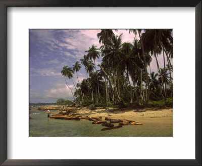 Limon Beach, Puerto Viejo, Costa Rica by Glen Davison Pricing Limited Edition Print image