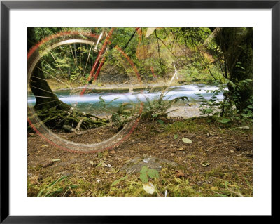 A Bicycle Zooms By In This Double-Exposed Photograph by Roy Toft Pricing Limited Edition Print image
