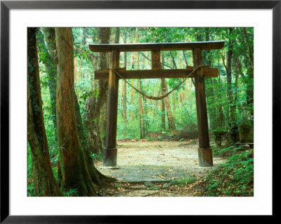 Mountain Shrine, Yakushima, Kagoshima, Japan by Rob Tilley Pricing Limited Edition Print image