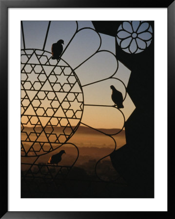 Birds Resting On Lattice Window, Jaipur, Rajasthan, India by Jane Sweeney Pricing Limited Edition Print image