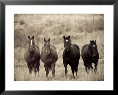 Horses, Montana, Usa by Russell Young Pricing Limited Edition Print image