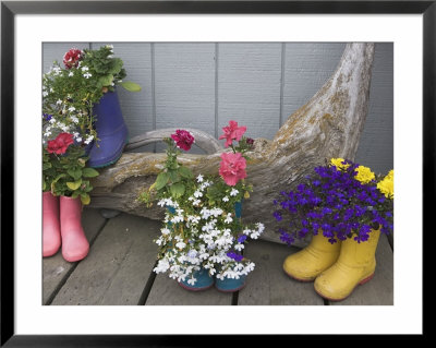 Colorful Rubber Boots Used As Flower Pots, Homer, Alaska, Usa by Dennis Flaherty Pricing Limited Edition Print image