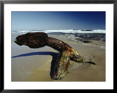 A 19Th Century Shipwreck Anchor Stranded On A Beach by Jason Edwards Pricing Limited Edition Print image