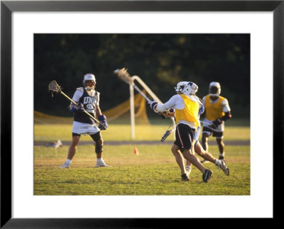 Lacrosse Scrimmage by Frank Siteman Pricing Limited Edition Print image