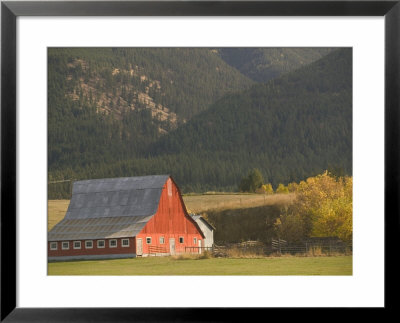 Red Barn In Fall, British Columbia, Canada by Walter Bibikow Pricing Limited Edition Print image