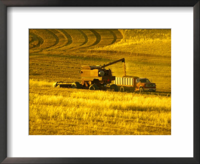 Combines Harvesting Crop, Palouse, Washington, Usa by Terry Eggers Pricing Limited Edition Print image