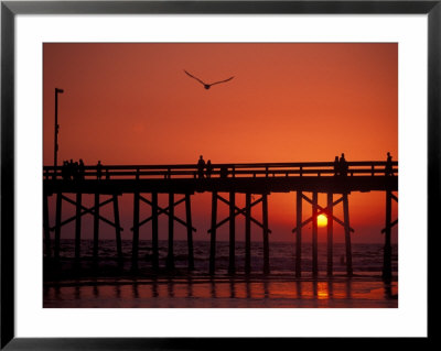 Newport Beach Pier, California, Usa by Nik Wheeler Pricing Limited Edition Print image