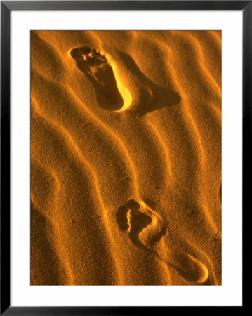 Footprints At Stockton Sand Dunes, Newcastle, New South Wales, Australia by Dallas Stribley Pricing Limited Edition Print image