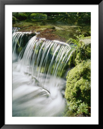 Close View Of A Small Waterfall On Fern Creek by Marc Moritsch Pricing Limited Edition Print image