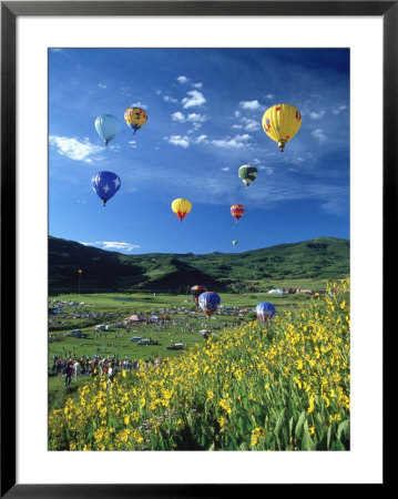 Hot Air Balloons by David Carriere Pricing Limited Edition Print image