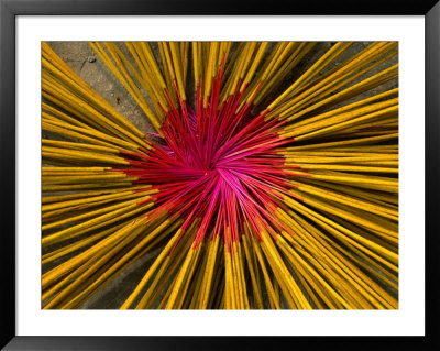 Incense Sticks Laid Out In Pattern To Dry, Mekong Delta, Vietnam by Anders Blomqvist Pricing Limited Edition Print image