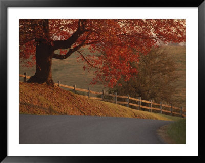 A Country Road Turns Downhill, Passing A Wooden Fence And A Tree by Kenneth Garrett Pricing Limited Edition Print image
