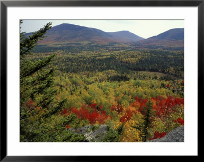Fall Colors In Wassataquoik Valley, Northern Hardwood Forest, Maine by Jerry & Marcy Monkman Pricing Limited Edition Print image
