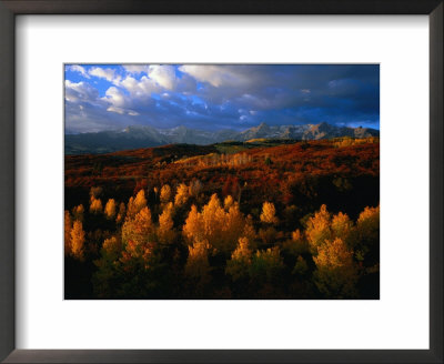 Evening Sunlight Over Mt. Sneffels Wilderness Area, South Carolina, Usa by Rob Blakers Pricing Limited Edition Print image