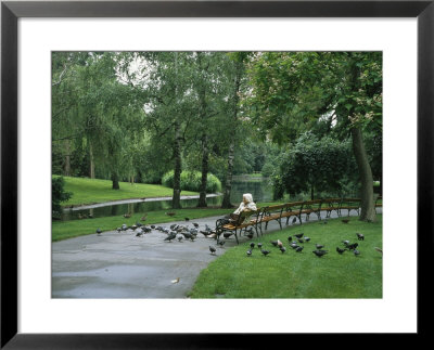 A Woman Feeds Pigeons In The City Park In Vienna by Taylor S. Kennedy Pricing Limited Edition Print image
