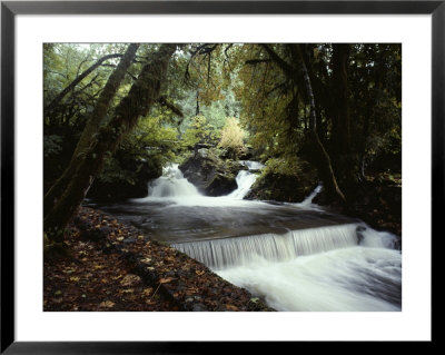Water Flows Over A Man-Made Waterfall Near Lake Quinault by Sam Abell Pricing Limited Edition Print image
