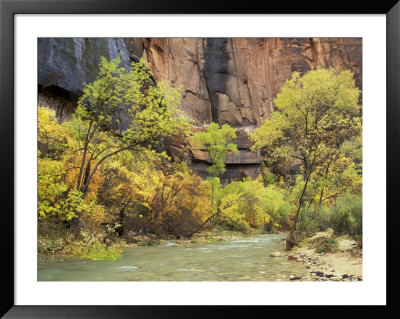 Virgin River In The Upper Zion Region, Zion National Park, Utah, Usa by Jamie & Judy Wild Pricing Limited Edition Print image