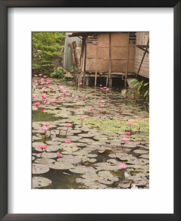 Lotus Flower On Pond, Laos by Gavriel Jecan Pricing Limited Edition Print image