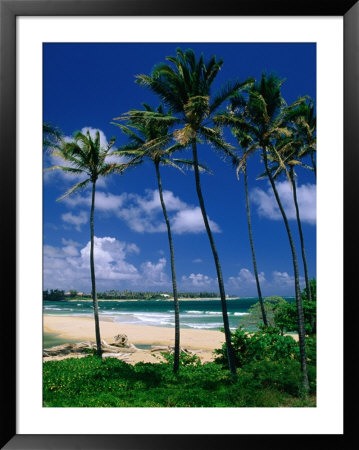 Lydgate Park, Wailua, Kauai, Hawaii, Usa by Ann Cecil Pricing Limited Edition Print image