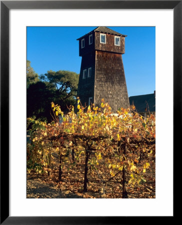 Water Tank Tower At The Handley Cellars Winery, Mendocino County, California, Usa by John Alves Pricing Limited Edition Print image