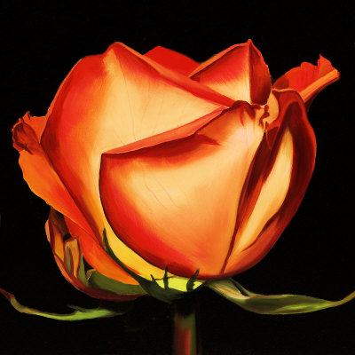 Rose Ii by Linda Mcvay Pricing Limited Edition Print image