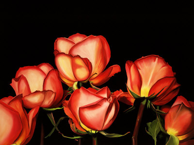 Six Rose Buds by Linda Mcvay Pricing Limited Edition Print image