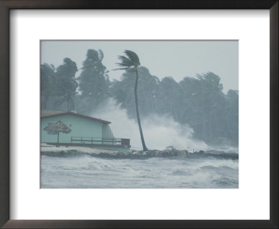 The Powerful Wind And Rain Of A Hurricane Pummel A Building by Otis Imboden Pricing Limited Edition Print image