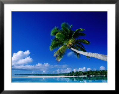 Palm Tree Over Aitutaki Beach And Lagoon, Aitutaki, Southern Group, Cook Islands by John Banagan Pricing Limited Edition Print image