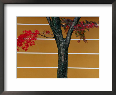 Bright Red Maple Leaves Against A Yellow Temple Wall, Kyoto, Kinki, Japan, by Frank Carter Pricing Limited Edition Print image
