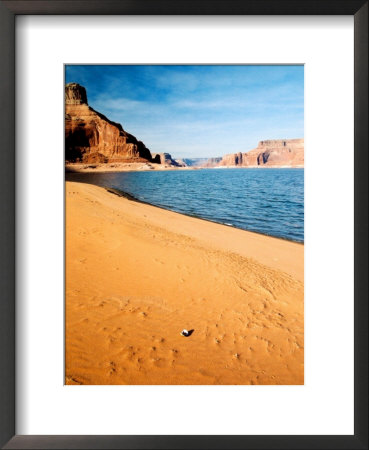 Mussel Shell At Dungeon Canyon, Lake Powell by James Denk Pricing Limited Edition Print image