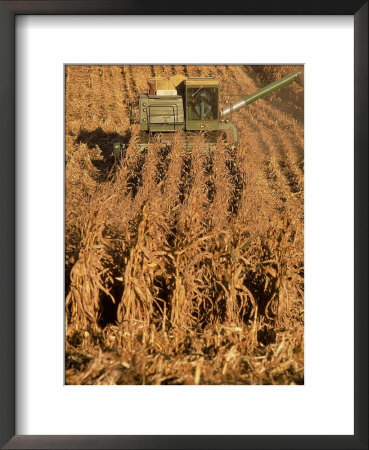 Corn Harvester by Tim Lynch Pricing Limited Edition Print image