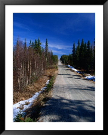 Road Through Forest, Lappi, Finland by David Tipling Pricing Limited Edition Print image
