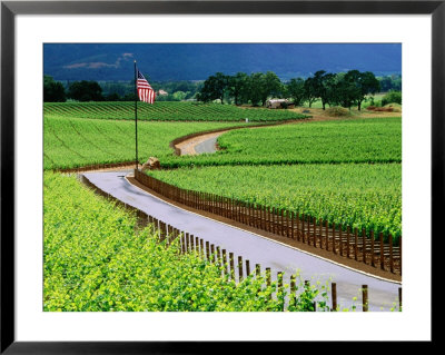The Plumjack Vineyards In Early Summer, Napa Valley, United States Of America by Jerry Alexander Pricing Limited Edition Print image