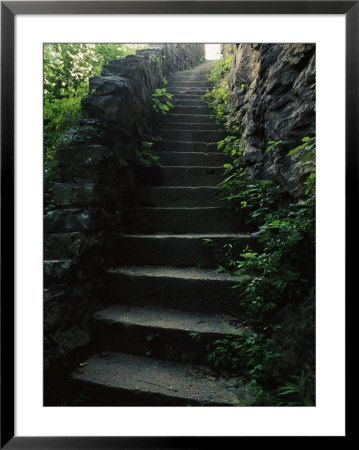 Stone Stairs Lead To The Top Of Morgans Steep In Sewanee by Stephen Alvarez Pricing Limited Edition Print image