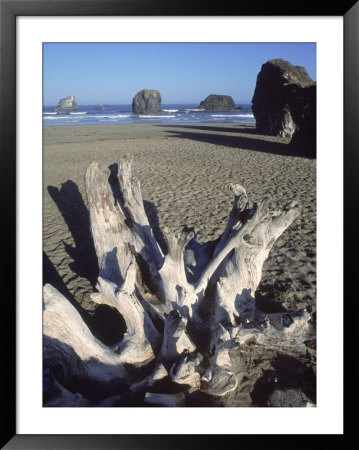 Dead Tree Trunk On Beach by Peter L. Chapman Pricing Limited Edition Print image
