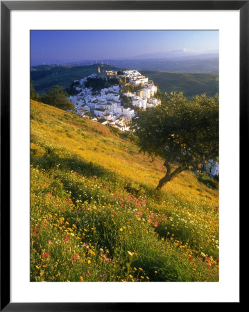 Mykonos, Greece by Peter Adams Pricing Limited Edition Print image