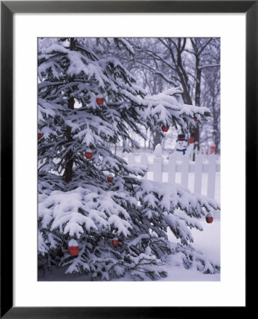 Christmas Tree In Nature With Lights And Snow by Terri Froelich Pricing Limited Edition Print image