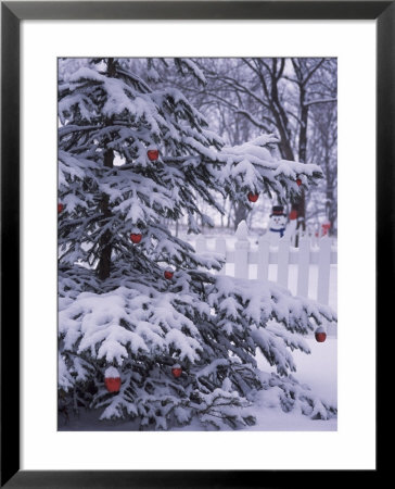 Christmas Tree In Nature With Lights And Snow by Terri Froelich Pricing Limited Edition Print image