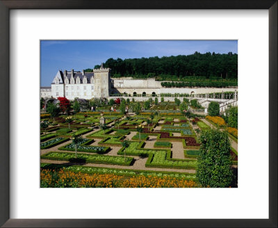 Chateau De Villandry Vegetable Garden, Villandry, France by Diana Mayfield Pricing Limited Edition Print image